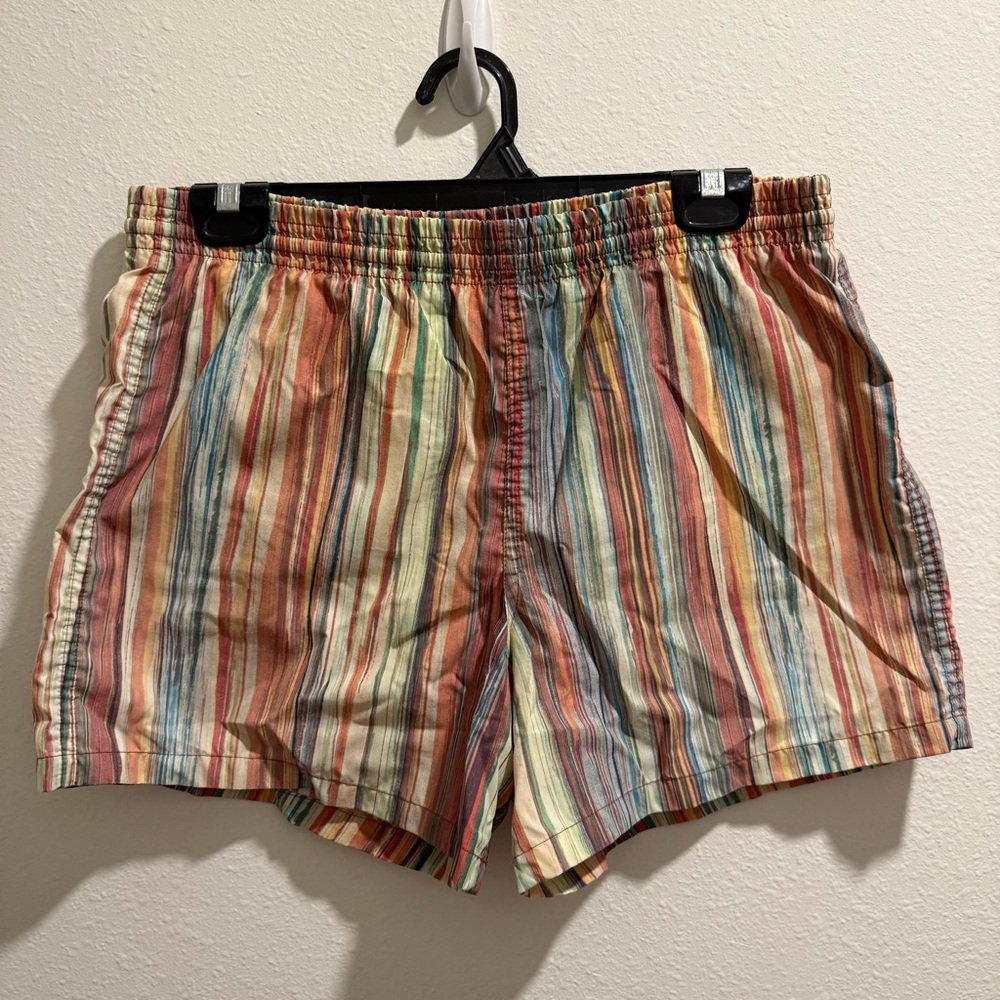 Striped Swim Trunks in Multicolor